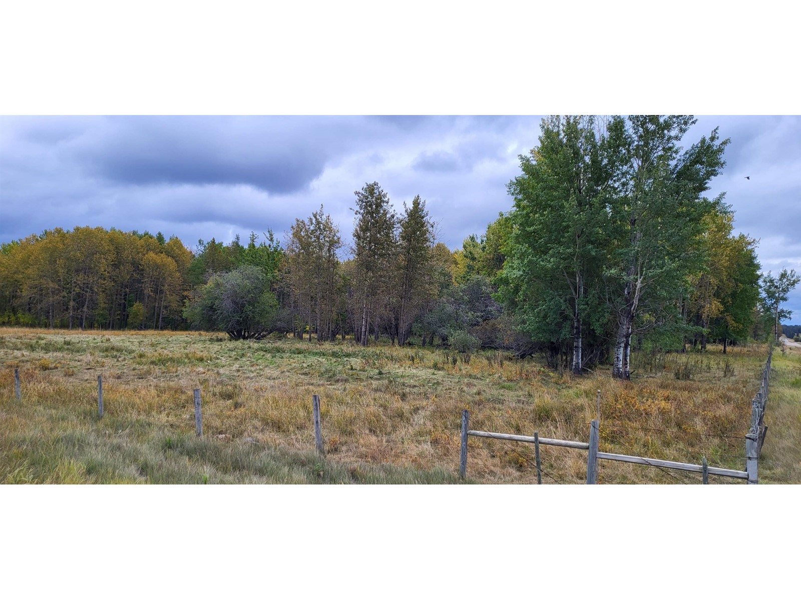 Twp 470 Rr 63a, Rural Wetaskiwin County, Alberta  T0C 0T0 - Photo 4 - E4313144