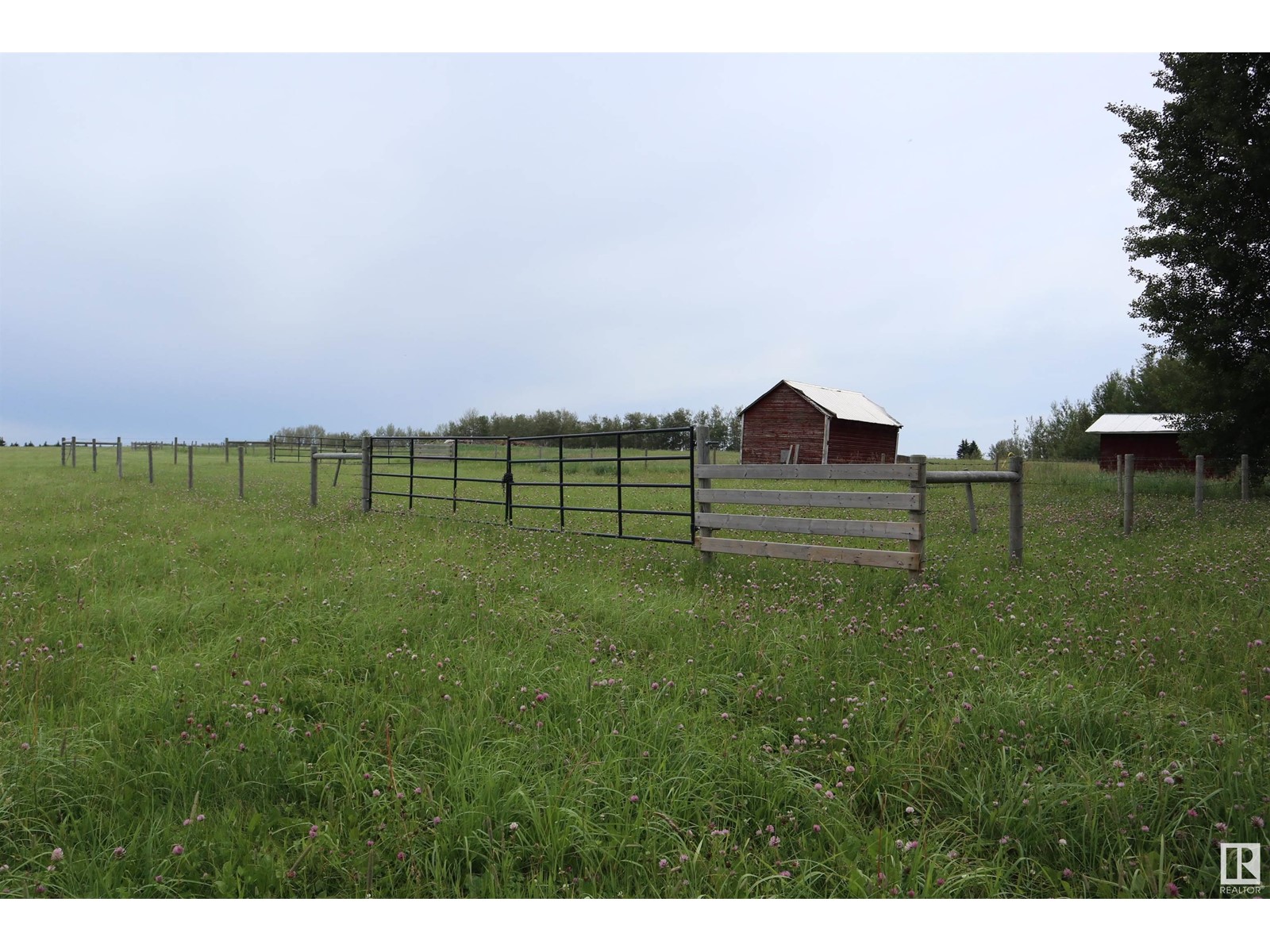 Rr 13 Twp 473a, Rural Leduc County, Alberta  T0C 2C0 - Photo 18 - E4376029