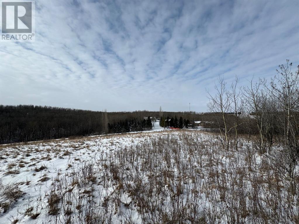 8 Whitetail Close, County Of, Alberta  T0C 2L0 - Photo 12 - A2117133
